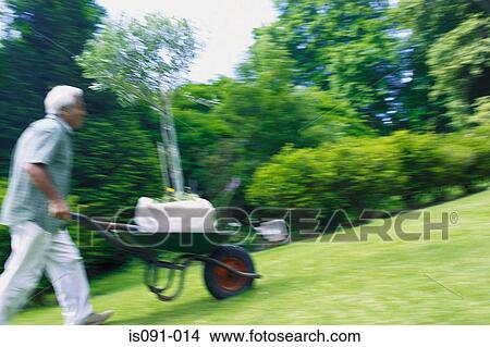 Picture - Man gardening. Fotosearch
