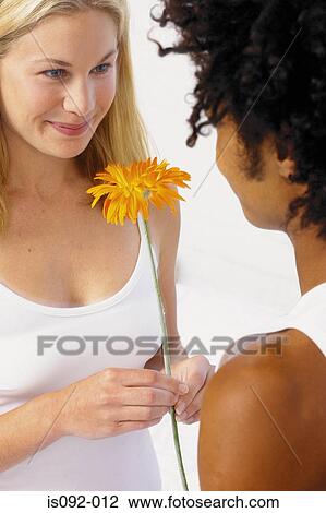 Man giving flower to woman View Large Photo Image Stock Image - Man giving flower to woman. Fotosearch