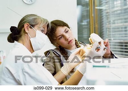 Girl being examined by dentist View Large Photo Image Stock Photo - Girl being examined by dentist. Fotosearch