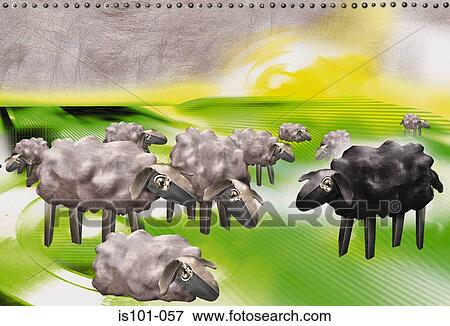 Black sheep View Large Photo Image Stock Photo - Black sheep. Fotosearch
