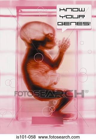 Know your genes View Large Photo Image Stock Photo - Know your genes. Fotosearch