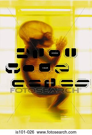 Know your genes View Large Photo Image Stock Photograph - Know your genes. Fotosearch
