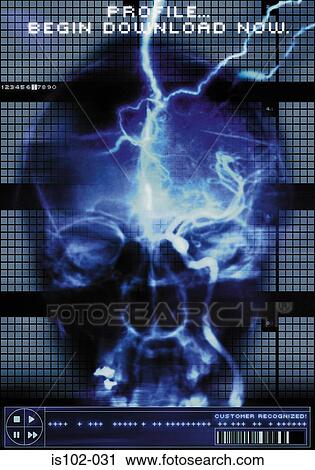 Personal profile View Large Photo Image Stock Image - Personal profile. Fotosearch