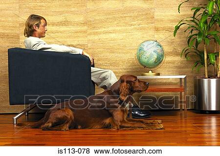 Businessman and his dog infront of a globe View Large Photo Image Stock Photo - Businessman and his dog infront of a globe. Fotosearch
