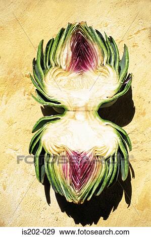 Artichoke halves View Large Photo Image Stock Photo - Artichoke halves. Fotosearch