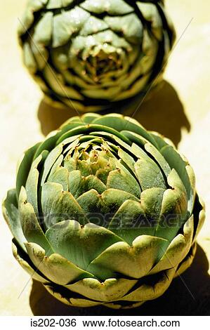 Stock Photograph - Artichokes. Fotosearch