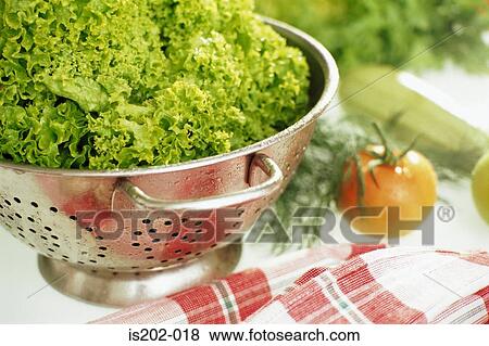 Lettuce View Large Photo Image Stock Photo - Lettuce. Fotosearch