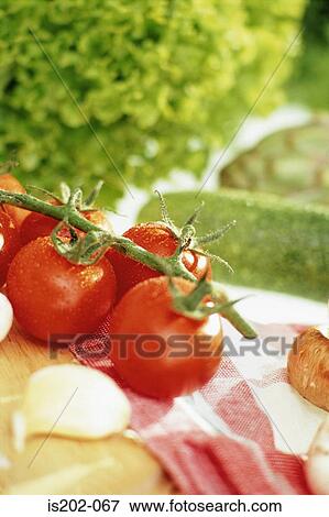Lettuce View Large Photo Image Stock Photo - Lettuce. Fotosearch