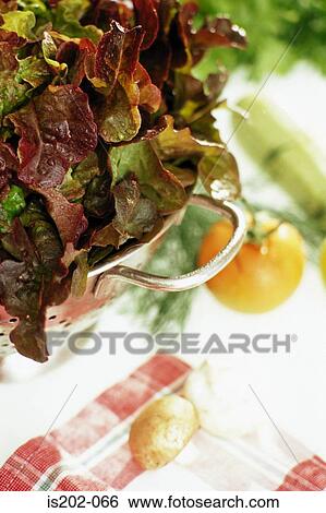 Lettuce View Large Photo Image Stock Photograph - Lettuce. Fotosearch