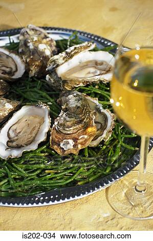 Oysters View Large Photo Image Picture - Oysters. Fotosearch