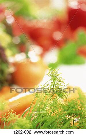 Stock Image - Vegetables. Fotosearch