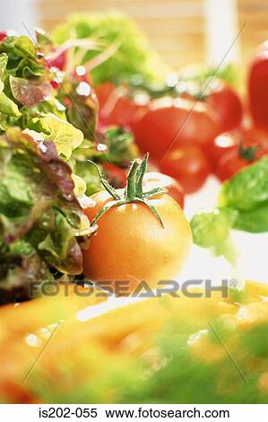 Stock Photography - Vegetables. Fotosearch