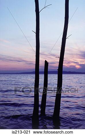 Stock Image - Lake. Fotosearch
