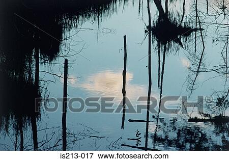Pond View Large Photo Image Stock Photo - Pond. Fotosearch