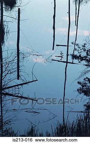 Stock Photograph - Pond. Fotosearch