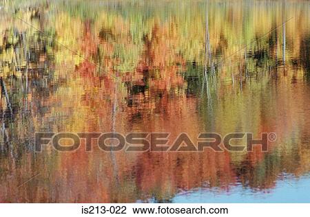 Stock Image - Reflection on water. Fotosearch