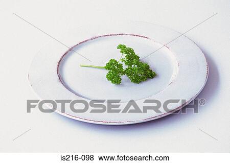 Sprig of parsley View Large Photo Image Stock Photo - Sprig of parsley. Fotosearch