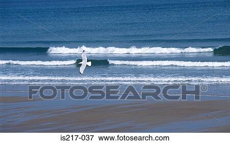 Stock Photo - Seaside. Fotosearch