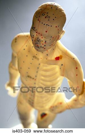 Acupuncture points View Large Photo Image Stock Photo - Acupuncture points. Fotosearch
