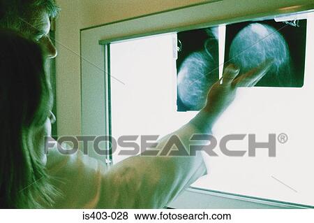 Doctor checking x-rays View Large Photo Image Stock Photo - Doctor checking x-rays. Fotosearch