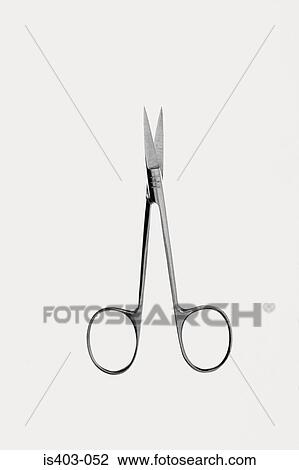 Pair of scissors View Large Photo Image Stock Image - Pair of scissors. Fotosearch