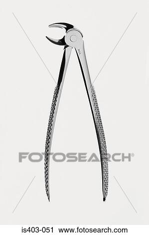 Surgical tongs View Large Photo Image Stock Image - Surgical tongs. Fotosearch