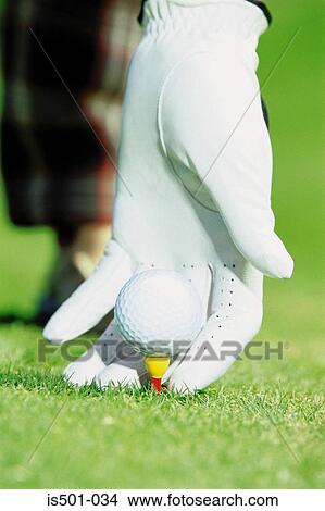 Gloved hand with golf ball View Large Photo Image Picture - Gloved hand with golf ball. Fotosearch
