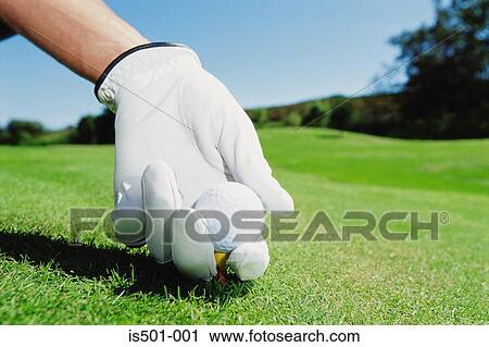 Stock Image - Gloved hand with golf ball. Fotosearch