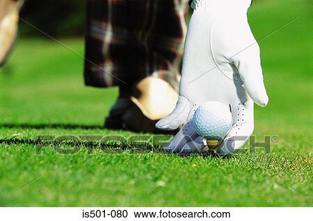 Gloved hand with golf ball View Large Photo Image Stock Image - Gloved hand with golf ball. Fotosearch