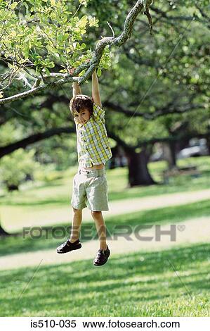 Boy swinging from tree View Large Photo Image Stock Photography - Boy swinging from tree. Fotosearch