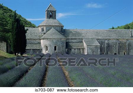 Abbaye de Senanque nr Gordes View Large Photo Image Stock Photo - Abbaye de Senanque nr Gordes. Fotosearch