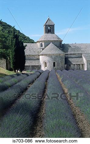 Abbaye de Senanque nr Gordes View Large Photo Image Stock Photograph - Abbaye de Senanque nr Gordes. Fotosearch