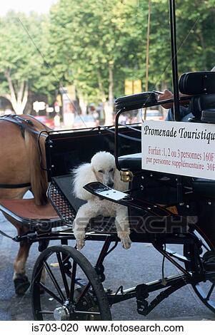 Stock Image - Carriage, Aix-en-Provence. Fotosearch
