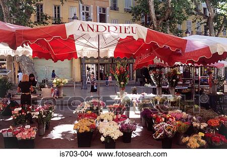 Flower Market, Place de l'Hôtel, Aix-en-Provence View Large Photo Image Picture - Flower Market, Place de l'Hôtel, Aix-en-Provence. Fotosearch