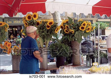 Flower Market, Place de l'Hôtel, Aix-en-Provence View Large Photo Image Stock Image - Flower Market, Place de l'Hôtel, Aix-en-Provence. Fotosearch