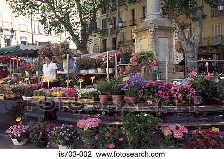 Stock Image - Flower Market, Place de l'Hôtel, Aix-en-Provence. Fotosearch