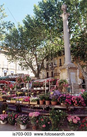 Flower Market, Place de l'Hôtel, Aix-en-Provence View Large Photo Image Stock Image - Flower Market, Place de l'Hôtel, Aix-en-Provence. Fotosearch