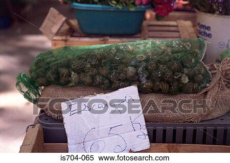Escargots on market, Aix-en-Provence View Large Photo Image Stock Photography - Escargots on market, Aix-en-Provence. Fotosearch