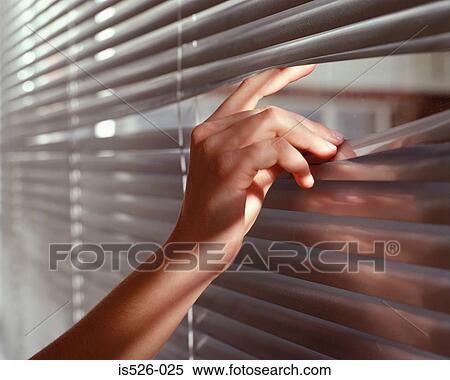 A woman peeping through venetian blinds View Large Photo Image Stock Photography - A woman peeping through venetian blinds. Fotosearch
