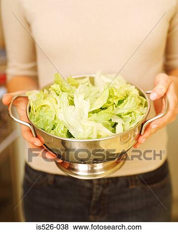 Woman holding freshly washed iceberg lettuce View Large Photo Image Stock Photo - Woman holding freshly washed iceberg lettuce. Fotosearch