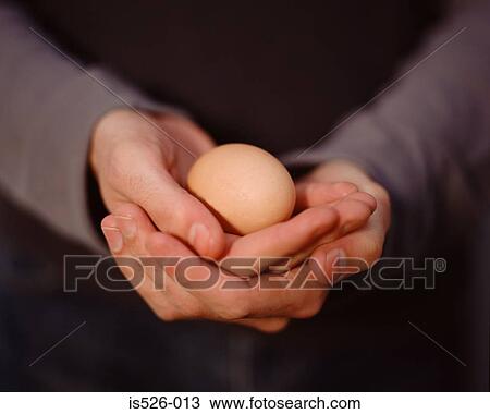 Young man carefully holding an egg View Large Photo Image Stock Image - Young man carefully holding an egg. Fotosearch