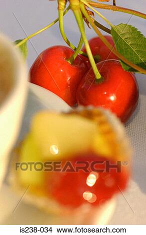 stems, cake, leaf, fresh, cherries, aroma View Large Photo Image Picture - stems, cake, leaf, fresh, cherries, aroma. Fotosearch
