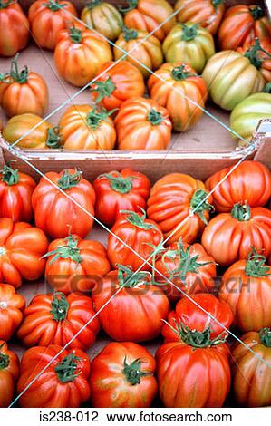 Tomatoes in boxes View Large Photo Image Stock Image - Tomatoes in boxes. Fotosearch