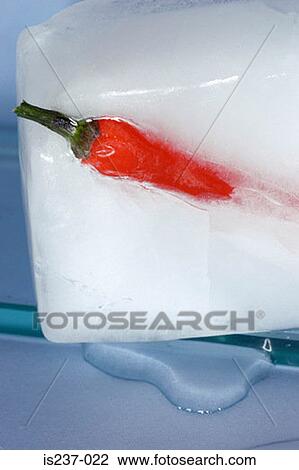 Chili pepper in ice View Large Photo Image Stock Image - Chili pepper in ice. Fotosearch