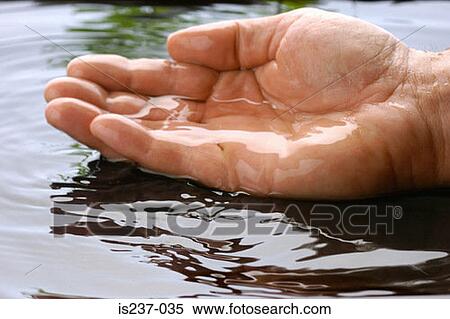 Man's hand in pond View Large Photo Image Stock Photography - Man's hand in pond. Fotosearch