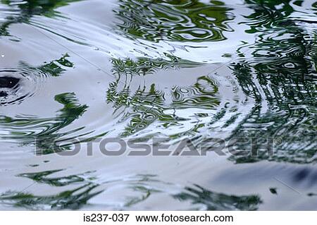 Ripples on pond View Large Photo Image Stock Photo - Ripples on pond. Fotosearch