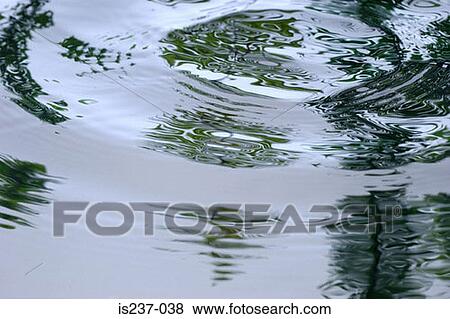 Ripples on pond View Large Photo Image Stock Photo - Ripples on pond. Fotosearch