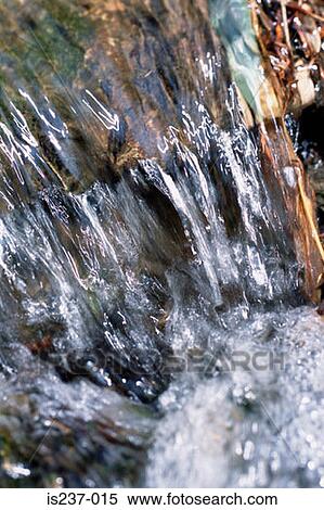 Stock Photography - Stream. Fotosearch