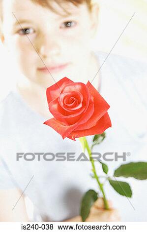 Girl holding red rose View Large Photo Image Stock Photo - Girl holding red rose. Fotosearch