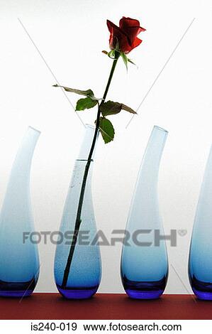 Stock Photo - Red rose in vase. Fotosearch